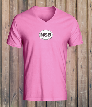 New Smyrna Beach Women's V-Neck T-Shirt Souvenir - My Destination Location